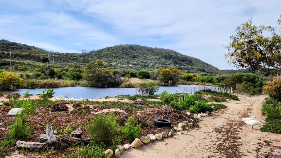 5 Bedroom Property for Sale in Uilenkraalsmond Western Cape